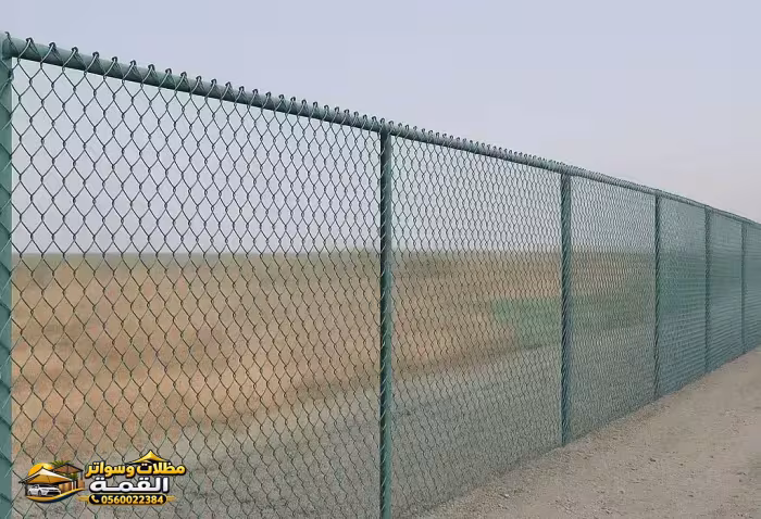 صورة من المعرض